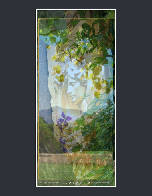 Saint-Gaudens Banner 4