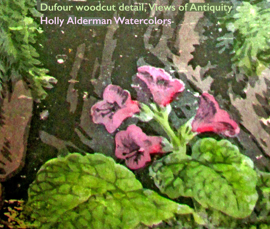 Coming Soon: Alderman Lookbook in West Palm Beach