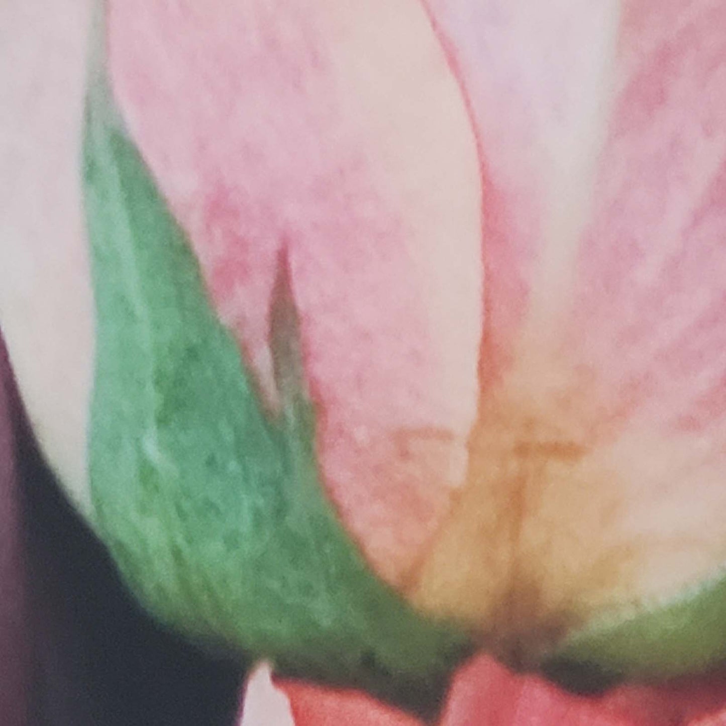 Framed Flower Photo 2