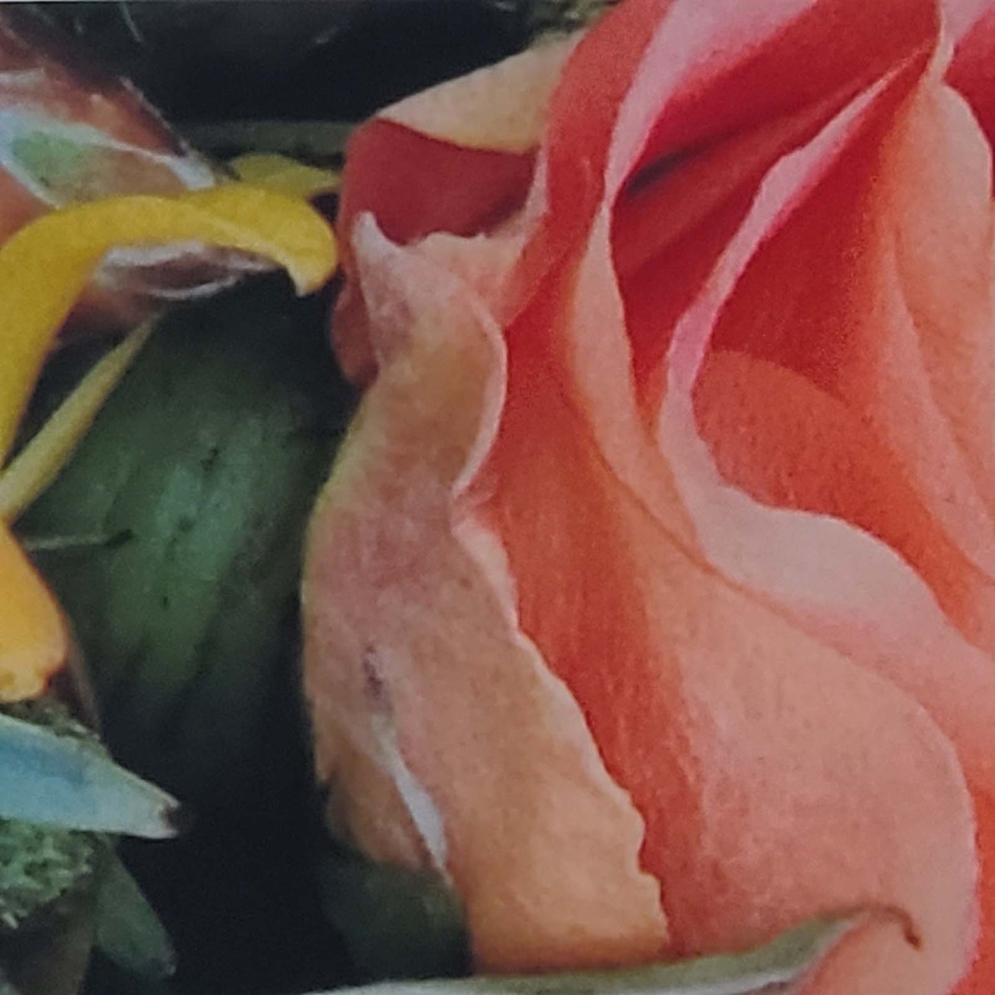 Framed Flower Photo 3