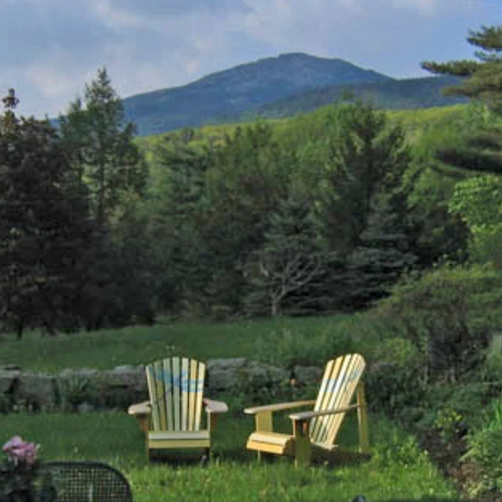 Faux Trellis Adirondack Chair