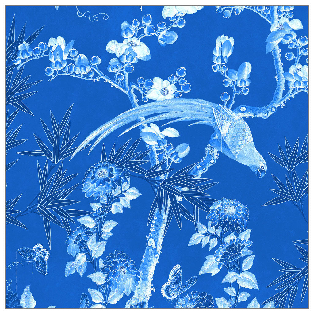 Hamlen Parrot 1, Blue & White 1