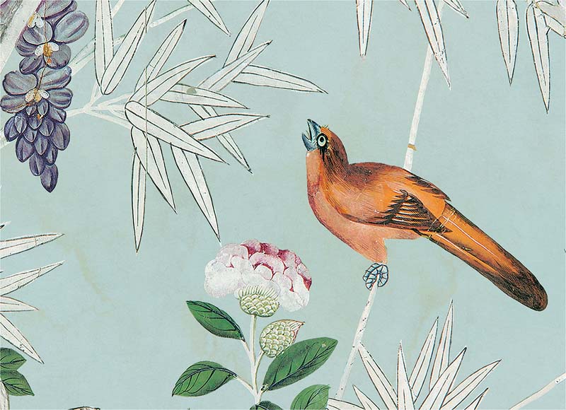 Little Birds of Hamlen Garden