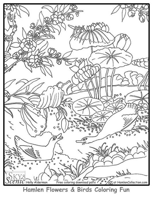 Fun Hamlen Coloring #2, free pdf download