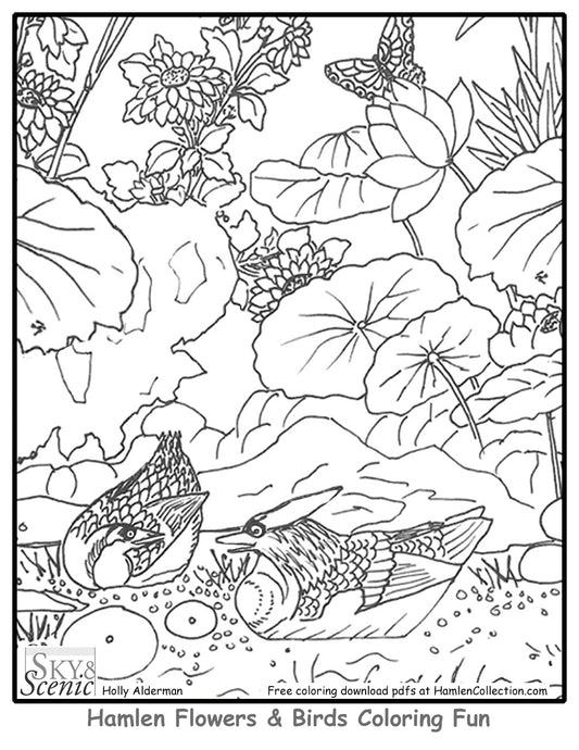 Fun Hamlen Coloring #3, free pdf download