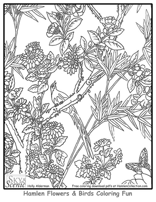 Fun Hamlen Coloring #5, free pdf download