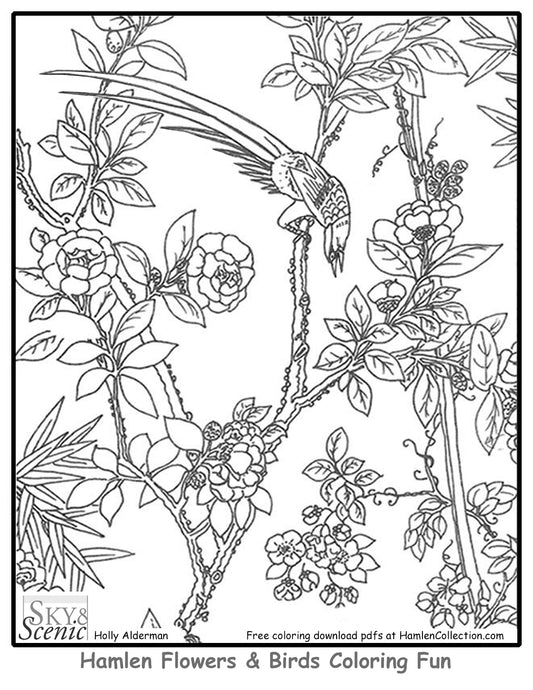 Fun Hamlen Coloring #4, free pdf download