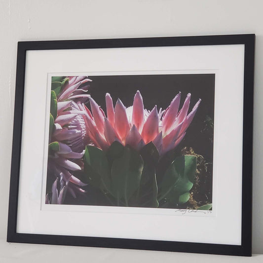 Framed Flower Photo 8