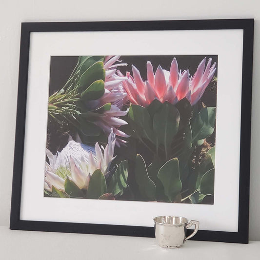 Framed Flower Photo 6