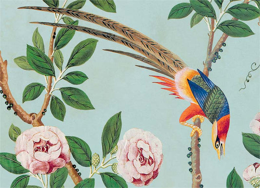 Birds of Hamlen Garden
