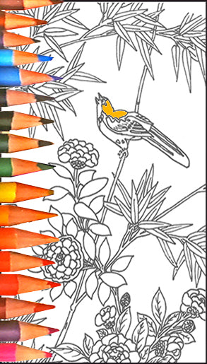 FREE COLORING FUN! FLOWERS AND BIRDS