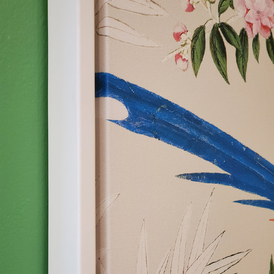 Ivory Sky & Scenic Blue Magpie and Laughing Ducks